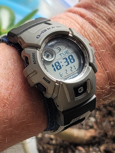 Casio shock 2900 module - casio,